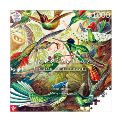 Imagination Puzzle: Ernst Haeckel Hummingbirds / Kolibry (1000 elementów)