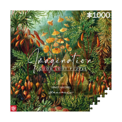 Imagination Puzzle: Ernst Haeckel Muscinae (1000 elementów)