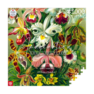Imagination Puzzle: Ernst Haeckel Orchidea / Orchid (1000 elementów)