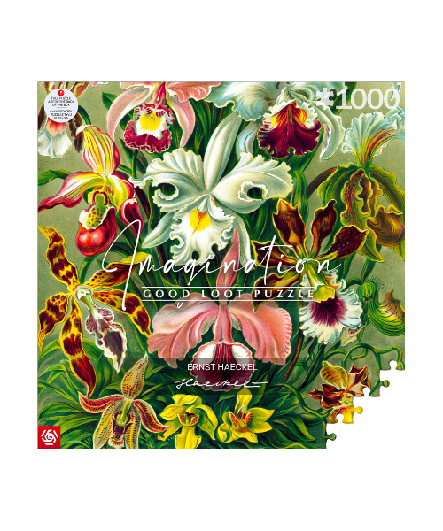 Imagination Puzzle: Ernst Haeckel Orchidea / Orchid (1000 elementów)