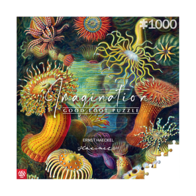 Imagination Puzzle: Ernst Haeckel Sea Anemones / Stworzenia morskie (1000 elementów)