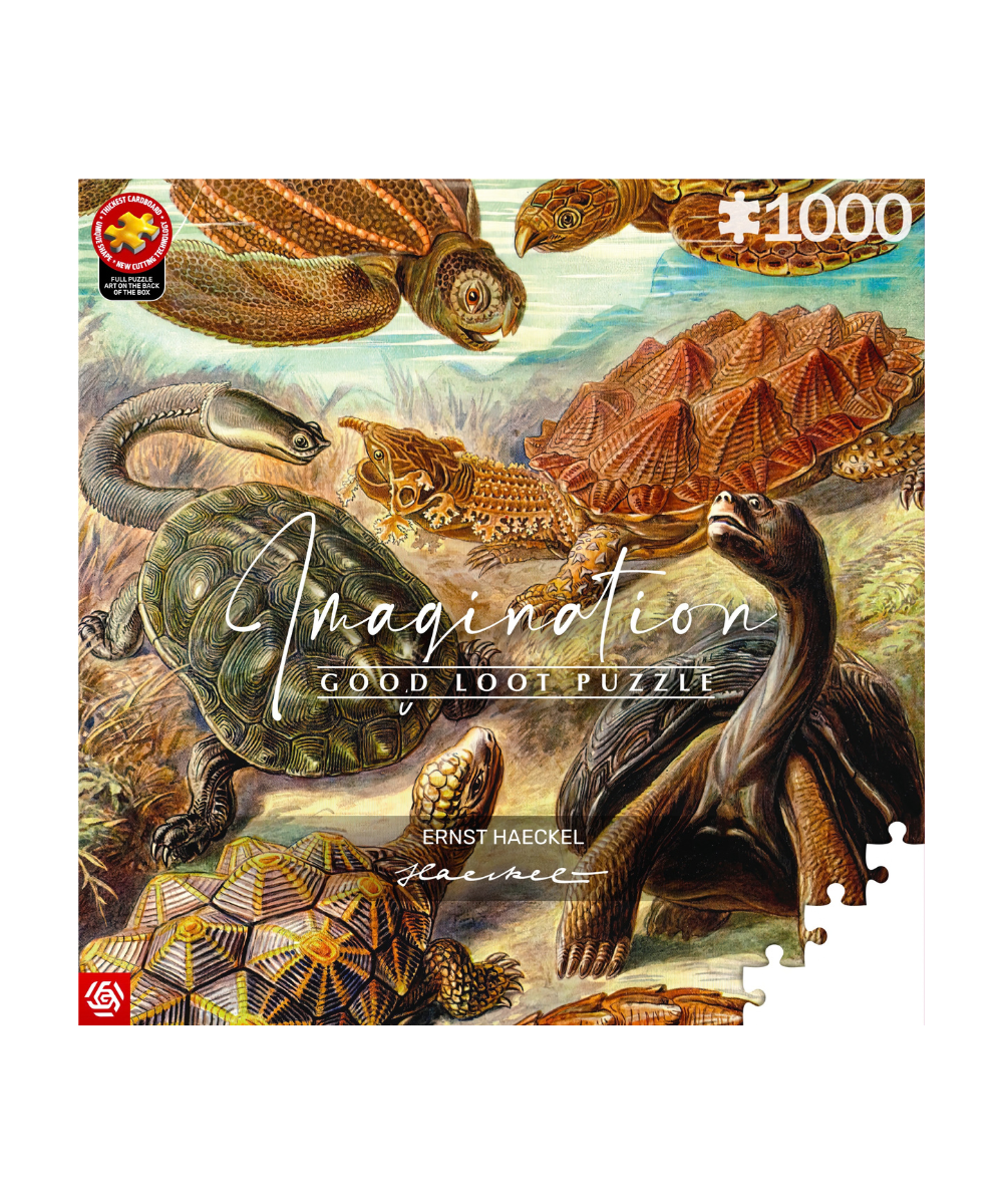 Imagination Puzzle: Ernst Haeckel Żółwie morskie, 1000 elementów